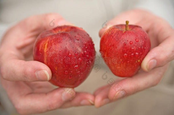 玫瑰红的苹果：大小<strong>很重要</strong>。