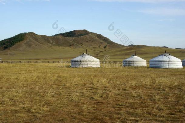蒙古包营