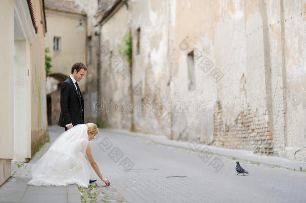 新郎新娘喂鸽子
