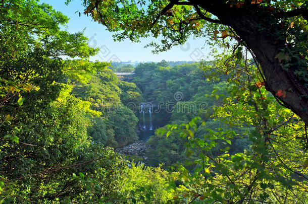 韩国济州<strong>火山岛</strong>