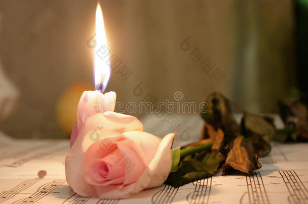 粉红玫瑰蜡烛美容