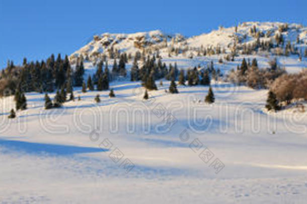 雪原