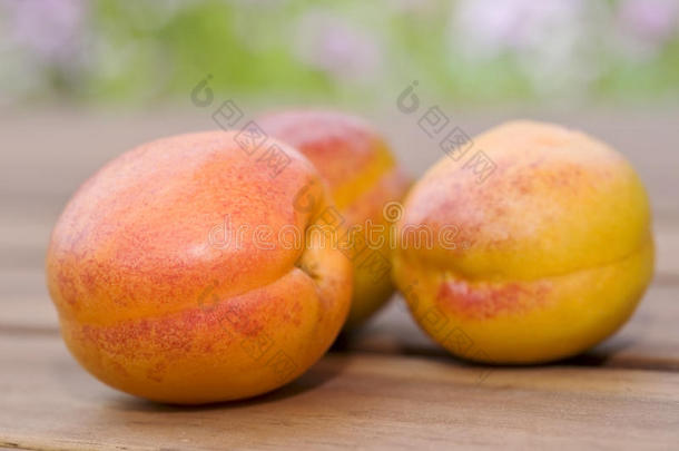 三鲜杏