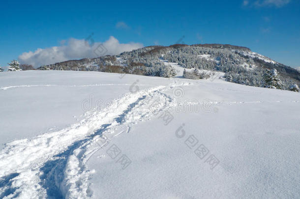 通往山顶的<strong>雪路</strong>