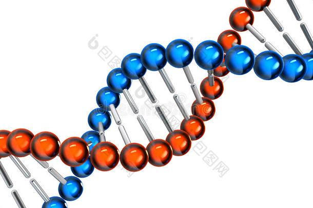 dna