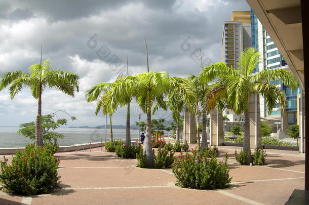特立尼达西班牙海滨开发港