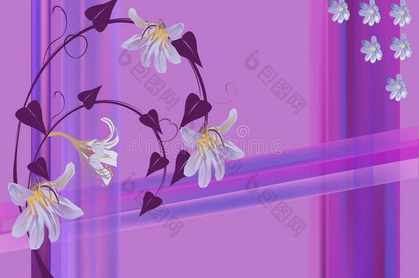 淡紫色背景上的浅花卷曲