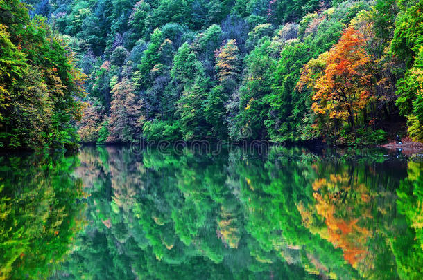 秋天的森林湖晨曦