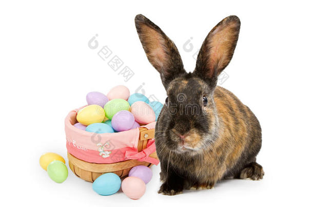 篮子旁边的复活节兔子