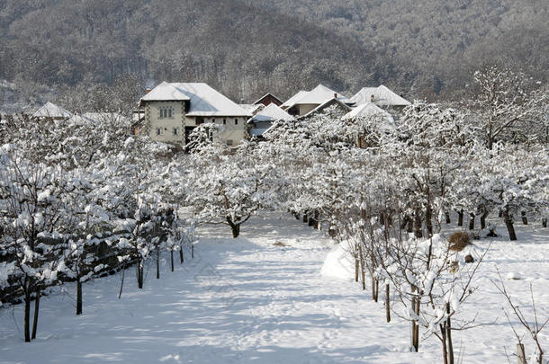 冬季果园雪村酒店
