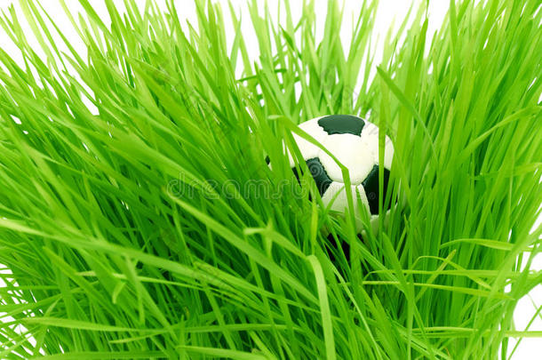 绿草上的足球与文本区域文案空间