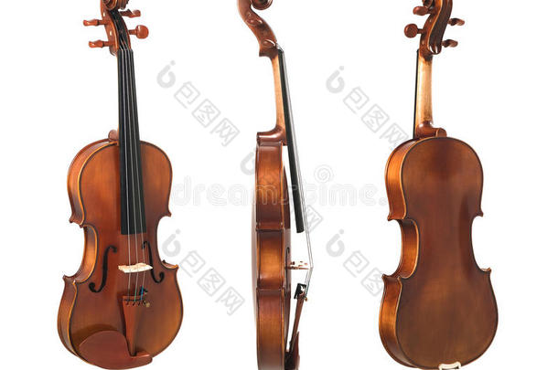 三大提琴视图