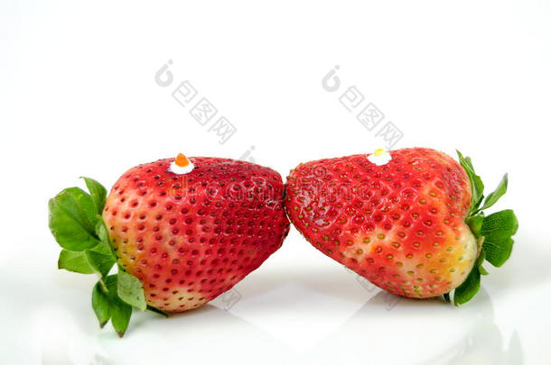草莓<strong>之吻</strong>