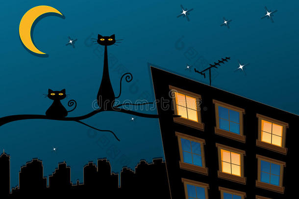 夜城黑猫