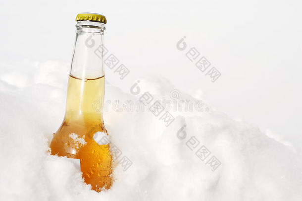 雪地里的啤酒瓶