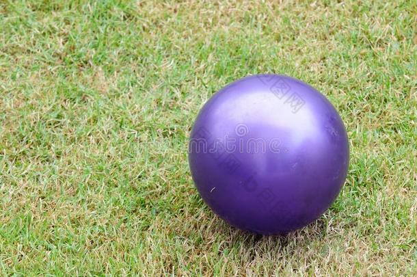 紫色运动场球