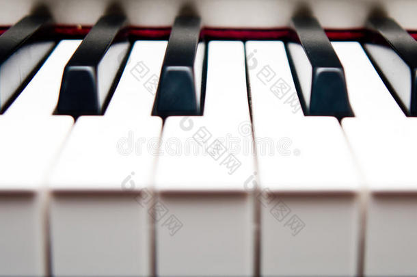 钢琴键特写