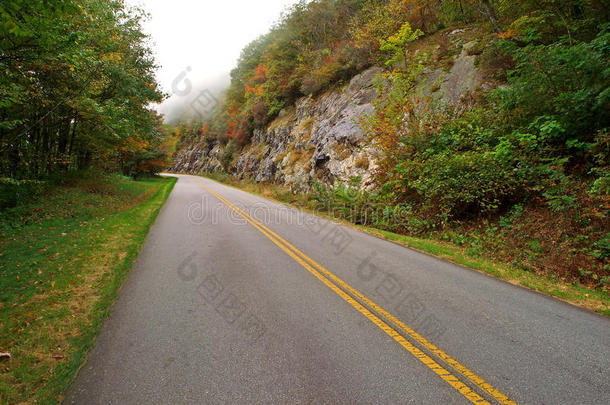 蓝岭公园道风景大道