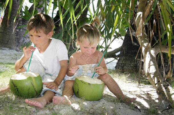 在棕榈树下喝<strong>椰汁</strong>的孩子们