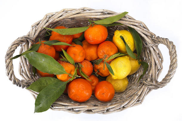 柑橘类水果收获