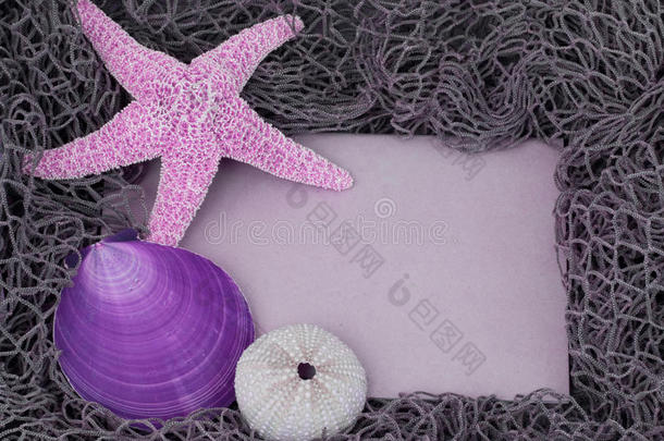带贝壳的紫色沙滩留言板