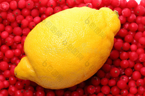 红醋栗上的柠檬