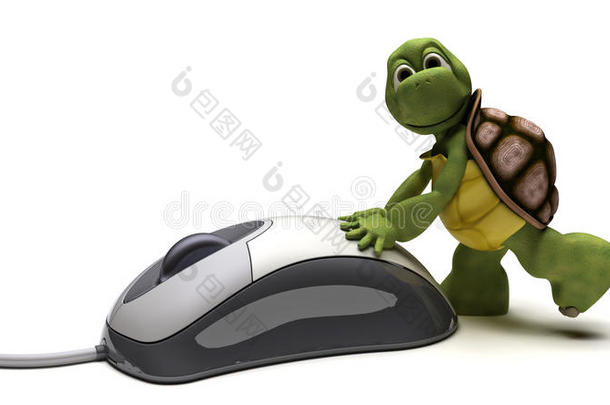 电脑鼠标乌龟