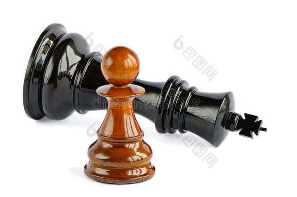 国际象棋棋子和国际象棋国王