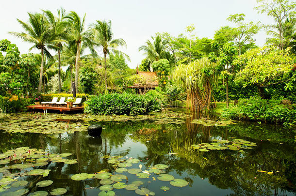 被茂盛的热带植物环绕的池塘