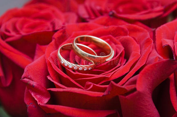 玫瑰和结婚戒指