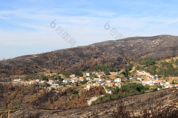 葡萄牙村庄周围的烧毁森林
