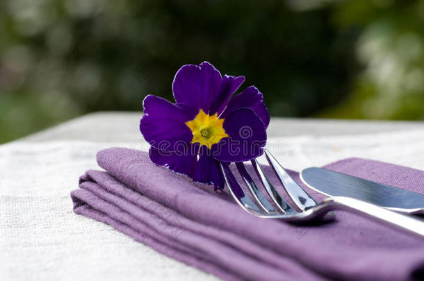 布景和紫色餐巾