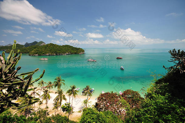 阳光海滩的风景