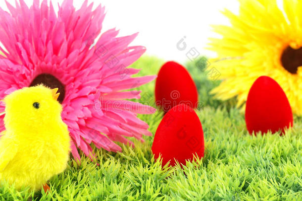 复活节彩蛋花和一只鸡