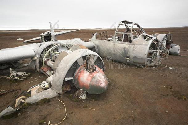 88个飞机北极的崩溃遗产