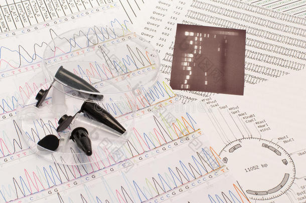 dna序列、培养皿和试管