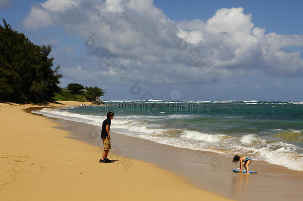 夏威夷瓦胡岛<strong>未受破坏</strong>的北岸海滩