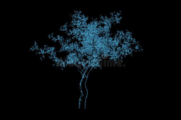 神奇树3d渲染X射线蓝色