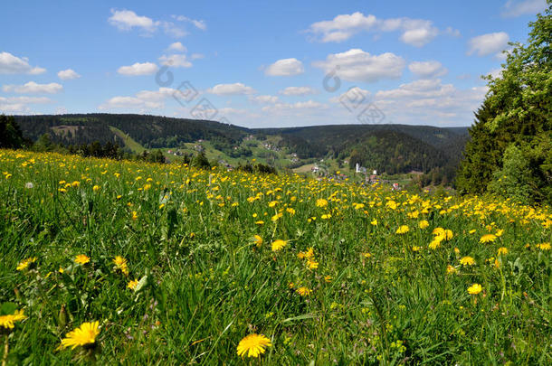 德国风景之春