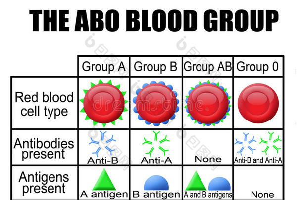 abo血型图