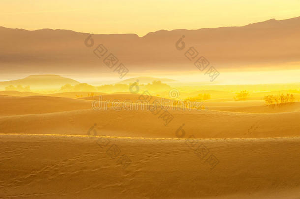 <strong>金色光</strong>雾的沙漠沙丘