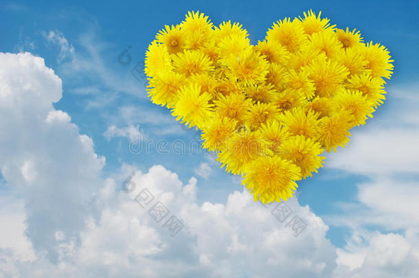 心从黄花。蓝天。