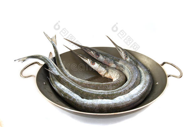 garfish（贝隆贝隆）