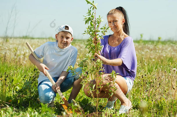 女子抱着十几岁的儿子摆树