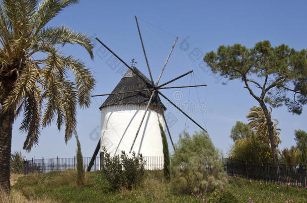 西班牙风车-托瑞帕切科-穆尔西亚-西班牙