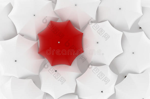 一把独特的红伞，一把白伞