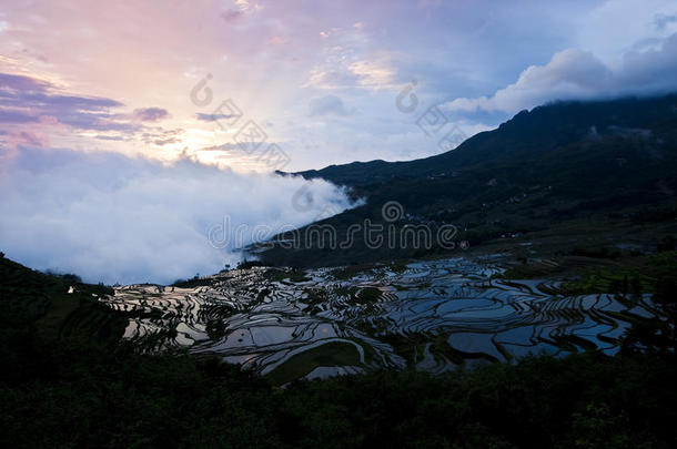 云南水稻梯田