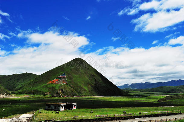 塔贡草原