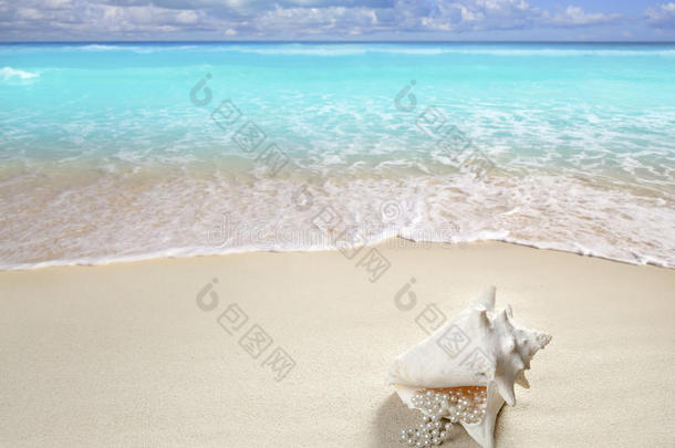 沙滩珍珠项链贝壳暑假