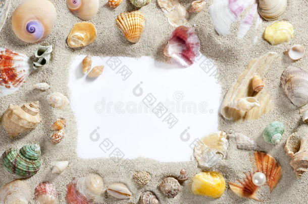 边框夏季海滩贝壳空白复制空间
